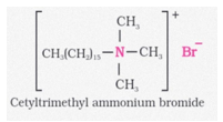 Cetyltrimethylammonium 