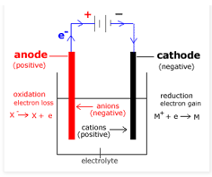 electrolytic cell