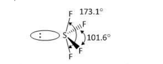 The structure of SF4 is