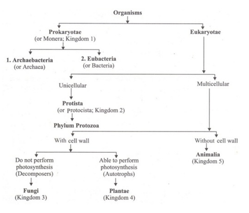  five-kingdom system of classification