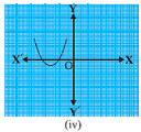 Polynomial