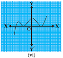 Polynomial